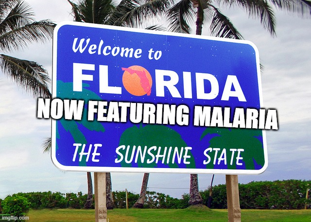 the hate-state, book bannings, anti gay, outsmarted by a mouse | NOW FEATURING MALARIA | image tagged in florida | made w/ Imgflip meme maker