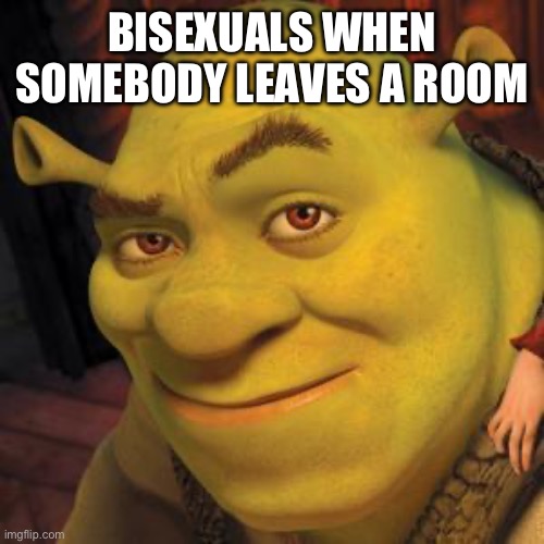 20 upvotes and I’m posting this in the LGBTQ stream | BISEXUALS WHEN SOMEBODY LEAVES A ROOM | image tagged in shrek sexy face | made w/ Imgflip meme maker