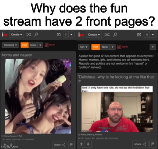 Sorry for the low quality image btw :/ | Why does the fun stream have 2 front pages? | made w/ Imgflip meme maker