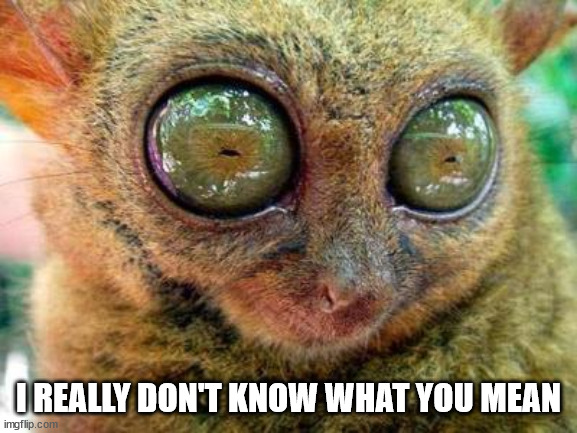 No Sleep for Lemur | I REALLY DON'T KNOW WHAT YOU MEAN | image tagged in no sleep for lemur | made w/ Imgflip meme maker