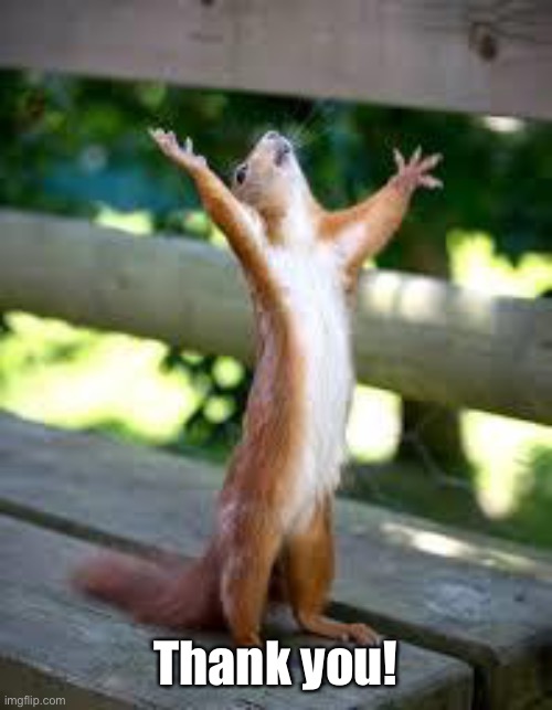 Praise Squirrel | Thank you! | image tagged in praise squirrel | made w/ Imgflip meme maker