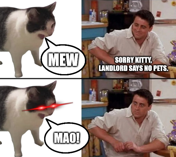Comrad Kitty Strikes Again! | SORRY KITTY, LANDLORD SAYS NO PETS. MEW; MAO! | image tagged in surprised joey,mao zedong,mao,landlord | made w/ Imgflip meme maker