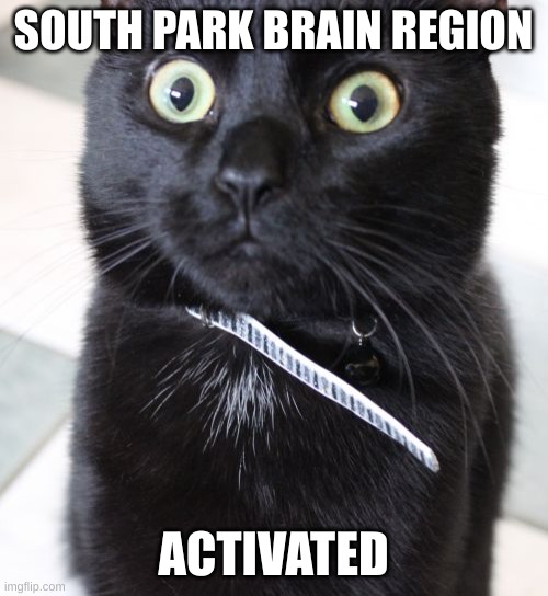 Woah Kitty Meme | SOUTH PARK BRAIN REGION ACTIVATED | image tagged in memes,woah kitty | made w/ Imgflip meme maker