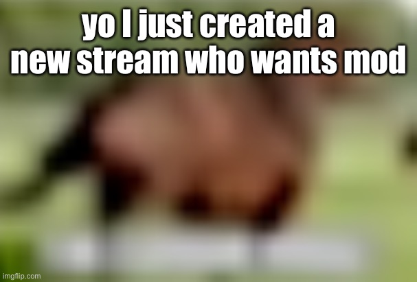 It’s called FFA | yo I just created a new stream who wants mod | image tagged in extremely low quality horse | made w/ Imgflip meme maker