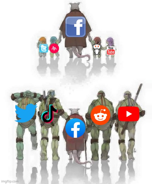 Back when Facebook was the most popular of them all | image tagged in ninja turtles evolution | made w/ Imgflip meme maker