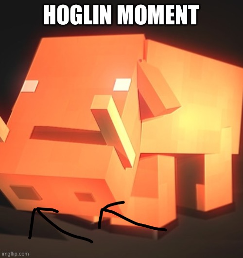 HOGLIN MOMENT | made w/ Imgflip meme maker