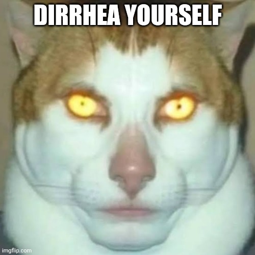 Sigma Cat | DIRRHEA YOURSELF | image tagged in sigma cat | made w/ Imgflip meme maker