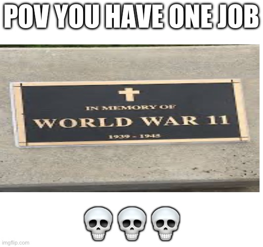 Why Dafuq is this | POV YOU HAVE ONE JOB; 💀💀💀 | image tagged in you have one job,funny,memes,only in ohio | made w/ Imgflip meme maker