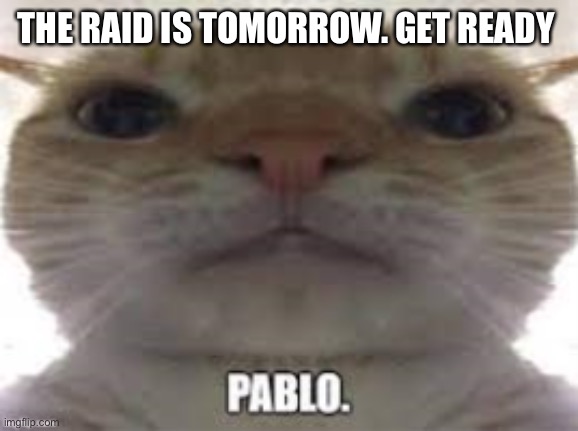 Pablo | THE RAID IS TOMORROW. GET READY | image tagged in pablo | made w/ Imgflip meme maker