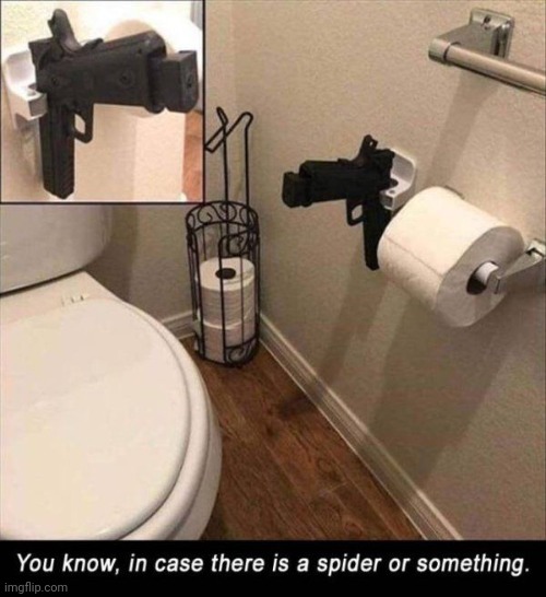 Gota wacth for spiders | image tagged in gun | made w/ Imgflip meme maker