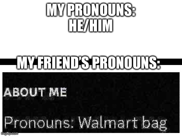 Lol | MY PRONOUNS:
HE/HIM; MY FRIEND’S PRONOUNS: | made w/ Imgflip meme maker