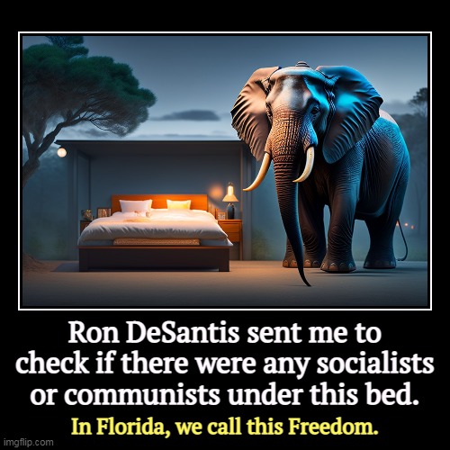 Ron DeSantis sent me to check if there were any socialists or communists under this bed. | In Florida, we call this Freedom. | image tagged in funny,demotivationals,ron desantis,florida,fascist,socialists | made w/ Imgflip demotivational maker