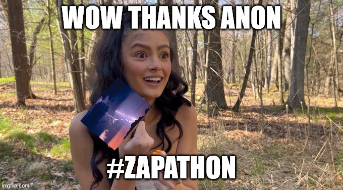 #Bitcoin #Zapathon