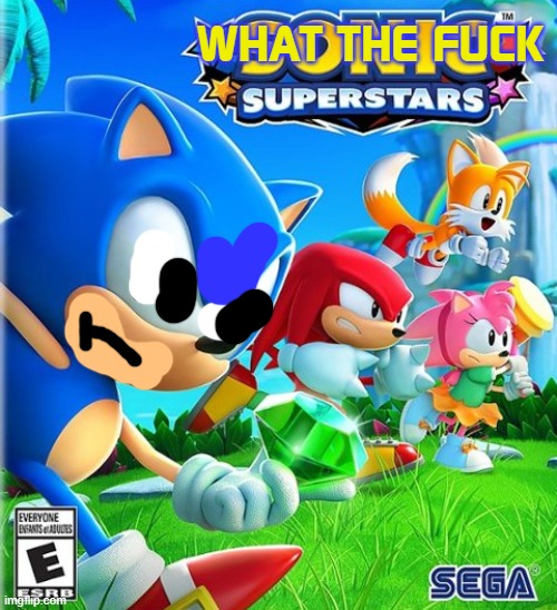 Sonic Superstars | WHAT THE FUCK | image tagged in sonic superstars | made w/ Imgflip meme maker