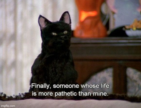 Pathetic Salem | image tagged in pathetic salem | made w/ Imgflip meme maker