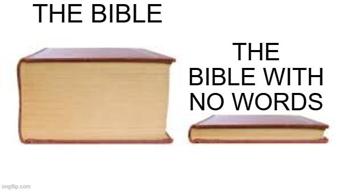 The Bible | THE BIBLE; THE BIBLE WITH NO WORDS | image tagged in big book small book | made w/ Imgflip meme maker