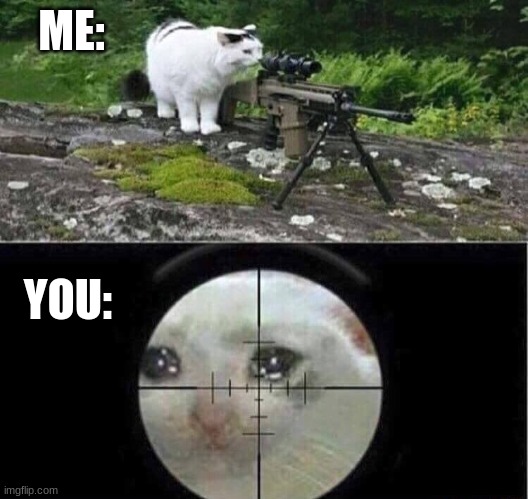 Sniper cat aim crying cat | ME: YOU: | image tagged in sniper cat aim crying cat | made w/ Imgflip meme maker