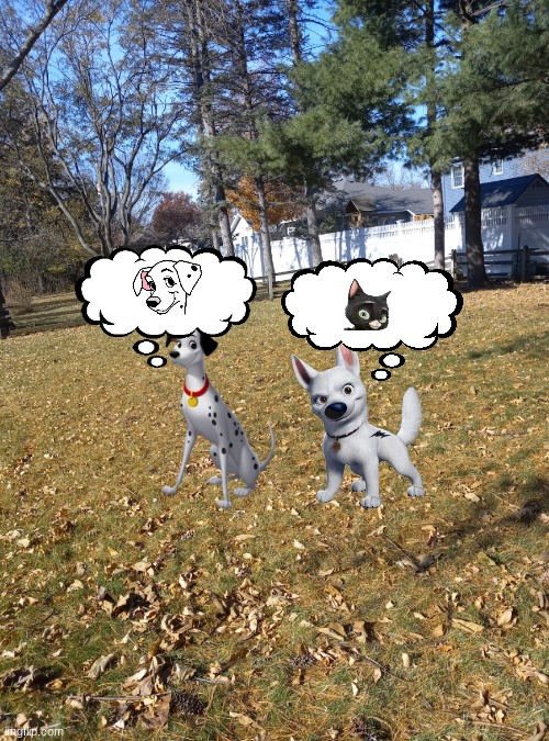 pongo and bolt thinking about their wives | image tagged in also my backyard lots42,disney | made w/ Imgflip meme maker