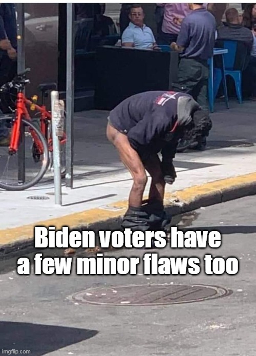 Biden voters have a few minor flaws too | made w/ Imgflip meme maker