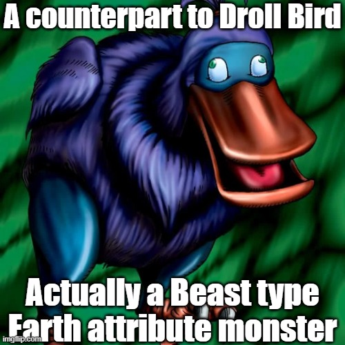 Misleading monster type and attribute 14 | A counterpart to Droll Bird; Actually a Beast type Earth attribute monster | image tagged in yugioh | made w/ Imgflip meme maker