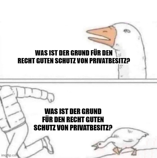 Goose Chase | WAS IST DER GRUND FÜR DEN RECHT GUTEN SCHUTZ VON PRIVATBESITZ? WAS IST DER GRUND FÜR DEN RECHT GUTEN SCHUTZ VON PRIVATBESITZ? | image tagged in goose chase | made w/ Imgflip meme maker