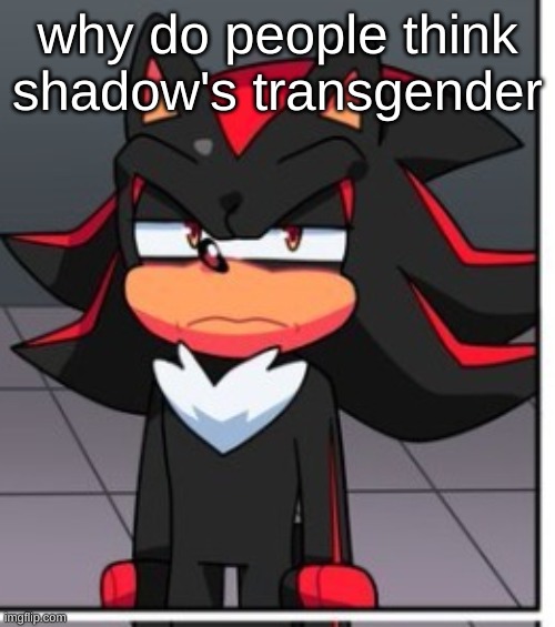 i literally don't know how people started thinking he's transformer??? there's like legit nothing that could even slightly clue  | why do people think shadow's transgender | image tagged in shadow disgusted | made w/ Imgflip meme maker