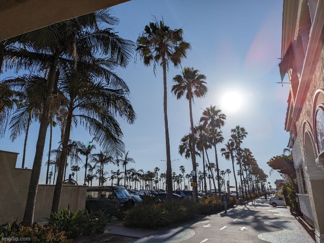 Balboa Island, Newport Beach | image tagged in palm tree,newport beach,balboa,beautiful | made w/ Imgflip meme maker