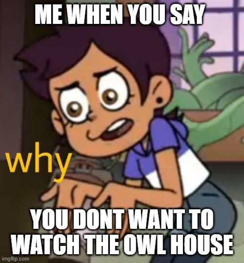 Why | ME WHEN YOU SAY; YOU DONT WANT TO WATCH THE OWL HOUSE | image tagged in why | made w/ Imgflip meme maker