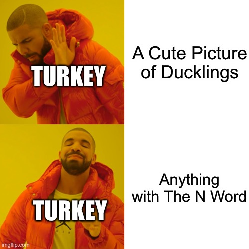 Drake Hotline Bling Meme | A Cute Picture of Ducklings Anything with The N Word TURKEY TURKEY | image tagged in memes,drake hotline bling | made w/ Imgflip meme maker