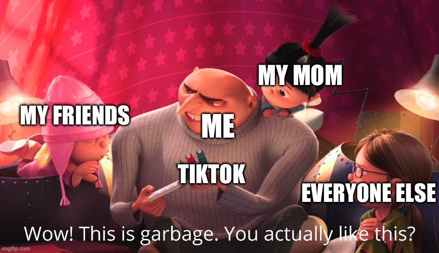 Wow! This is garbage. You actually like this? | MY MOM; MY FRIENDS; ME; TIKTOK; EVERYONE ELSE | image tagged in wow this is garbage you actually like this | made w/ Imgflip meme maker