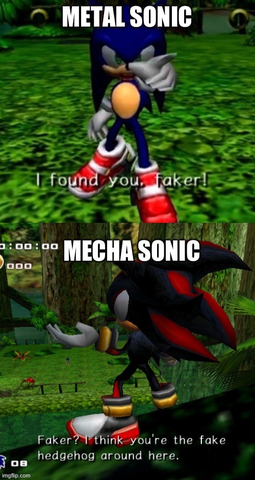 Found you Faker! | METAL SONIC; MECHA SONIC | image tagged in found you faker | made w/ Imgflip meme maker