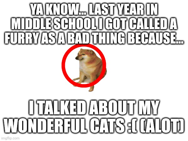 YA KNOW... LAST YEAR IN MIDDLE SCHOOL I GOT CALLED A FURRY AS A BAD THING BECAUSE... I TALKED ABOUT MY WONDERFUL CATS :( (ALOT) | made w/ Imgflip meme maker