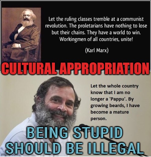 CULTURAL APPROPRIATION | CULTURAL APPROPRIATION; BEING STUPID SHOULD BE ILLEGAL | image tagged in rahul gandhi s marxian beard | made w/ Imgflip meme maker