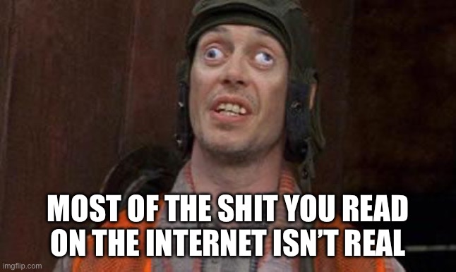 Looks Good To Me | MOST OF THE SHIT YOU READ ON THE INTERNET ISN’T REAL | image tagged in looks good to me | made w/ Imgflip meme maker