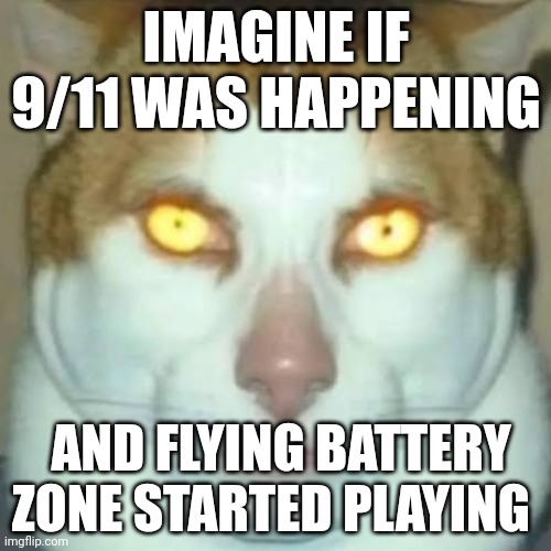 Sigma Cat | IMAGINE IF 9/11 WAS HAPPENING; AND FLYING BATTERY ZONE STARTED PLAYING | image tagged in sigma cat | made w/ Imgflip meme maker