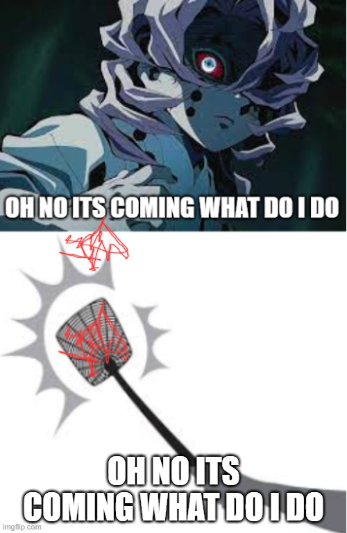 rui's worst fear | OH NO ITS COMING WHAT DO I DO | image tagged in demon slayer,anime,funny,memes,spiders | made w/ Imgflip meme maker