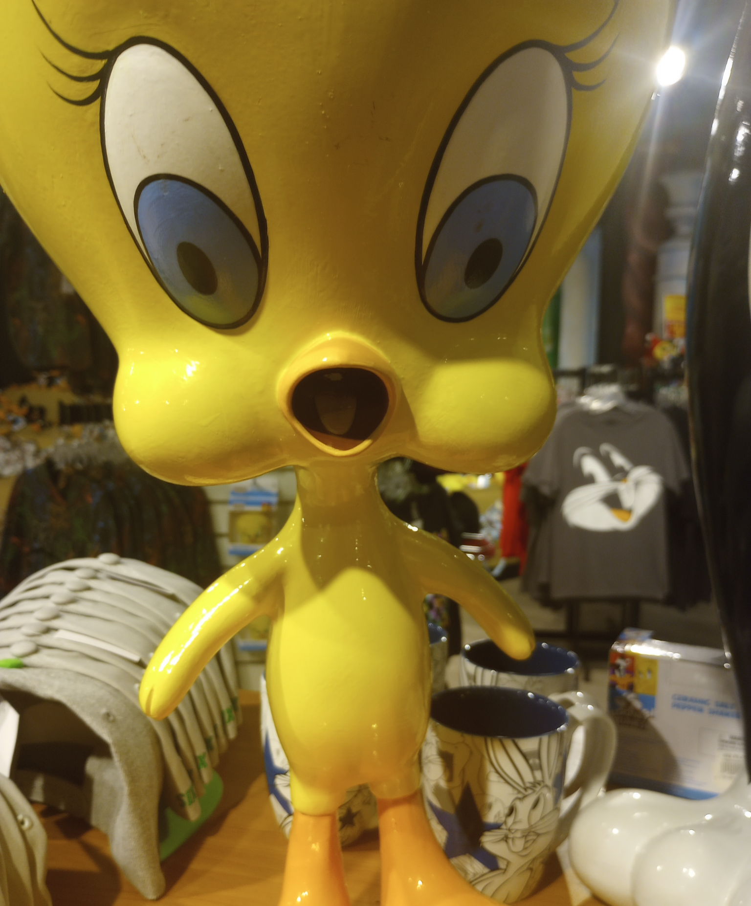 Surprised Tweety bird Blank Meme Template