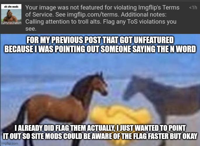 FOR MY PREVIOUS POST THAT GOT UNFEATURED BECAUSE I WAS POINTING OUT SOMEONE SAYING THE N WORD; I ALREADY DID FLAG THEM ACTUALLY, I JUST WANTED TO POINT IT OUT SO SITE MODS COULD BE AWARE OF THE FLAG FASTER BUT OKAY | image tagged in horse handshake my man | made w/ Imgflip meme maker