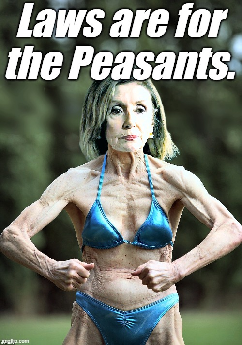 Nancy Pelosi in a Bikini | Laws are for the Peasants. | image tagged in nancy pelosi in a bikini | made w/ Imgflip meme maker
