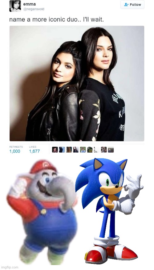 Elephant Mario and Sonic the hedgehog is a another awesome dynamic duo | image tagged in name a more iconic duo,crossover,sonic the hedgehog,mario | made w/ Imgflip meme maker