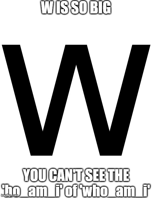 W | W IS SO BIG; YOU CAN'T SEE THE 'ho_am_i' of 'who_am_i' | image tagged in who_am_i,imgflip,memes,imgflip users,funny,tag | made w/ Imgflip meme maker