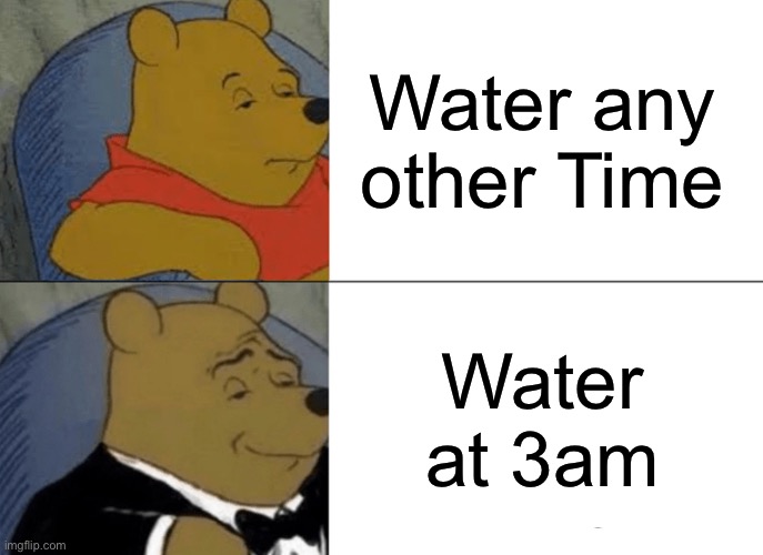 Tuxedo Winnie The Pooh | Water any other Time; Water at 3am | image tagged in memes,tuxedo winnie the pooh | made w/ Imgflip meme maker