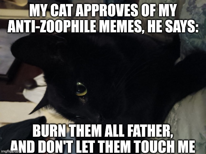 My cat approves | MY CAT APPROVES OF MY ANTI-ZOOPHILE MEMES, HE SAYS:; BURN THEM ALL FATHER, AND DON'T LET THEM TOUCH ME | image tagged in my cat approves | made w/ Imgflip meme maker