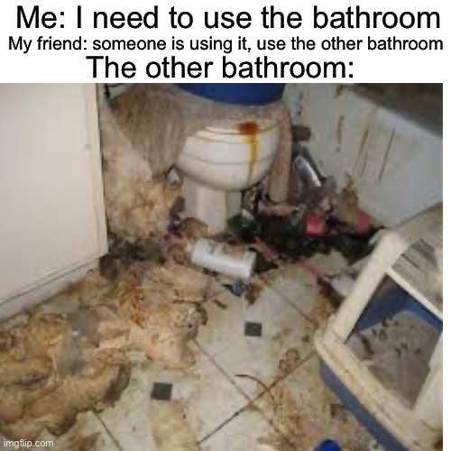 Relatable? | Me: I need to use the bathroom; My friend: someone is using it, use the other bathroom; The other bathroom: | image tagged in relatable | made w/ Imgflip meme maker