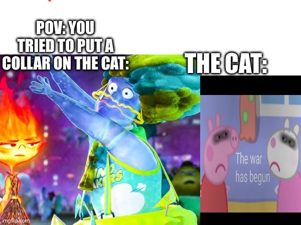 DO NOT try putting a collar on your cat | POV: YOU TRIED TO PUT A COLLAR ON THE CAT:; THE CAT: | image tagged in cats,what if i told you,you will die in 0 05 | made w/ Imgflip meme maker