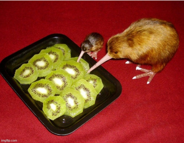 Kiwi Cannibalism | image tagged in kiwi cannibalism | made w/ Imgflip meme maker