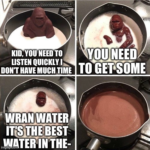 chocolate gorilla | KID, YOU NEED TO LISTEN QUICKLY I DON'T HAVE MUCH TIME; YOU NEED TO GET SOME; WRAN WATER IT'S THE BEST WATER IN THE- | image tagged in chocolate gorilla | made w/ Imgflip meme maker