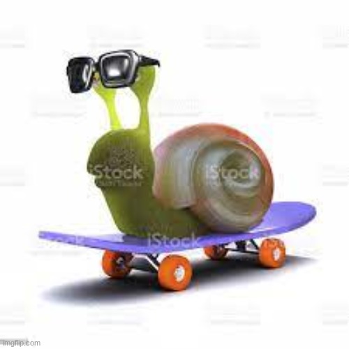 badass stock photo of a snail on a skateboard with sunglasses | image tagged in badass stock photo of a snail on a skateboard with sunglasses | made w/ Imgflip meme maker