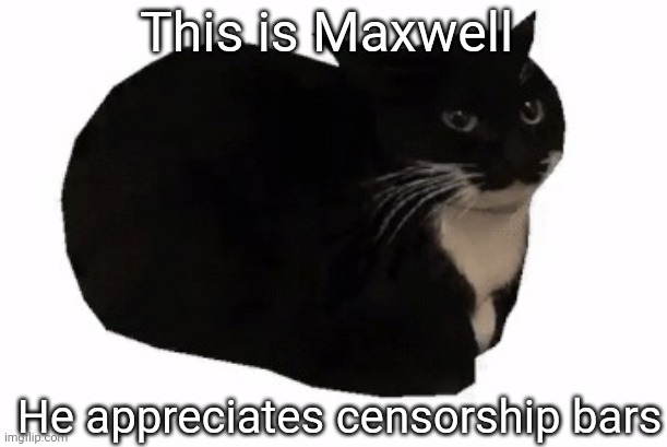 maxwell the cat | This is Maxwell He appreciates censorship bars | image tagged in maxwell the cat | made w/ Imgflip meme maker