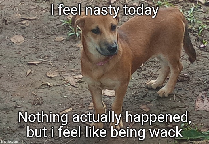 jéan | I feel nasty today; Nothing actually happened, but i feel like being wack | image tagged in j an | made w/ Imgflip meme maker